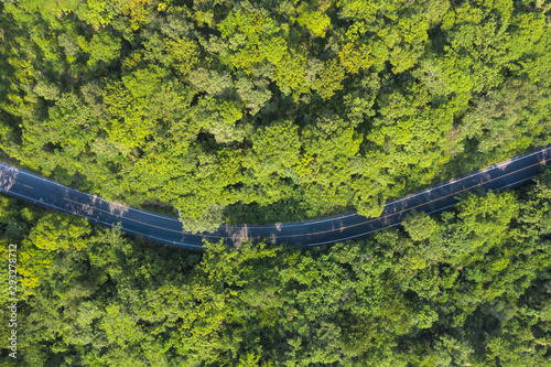 Aerial top view over mountain rural road in tropical rainforest with green tree, road going through forest from above by drone.