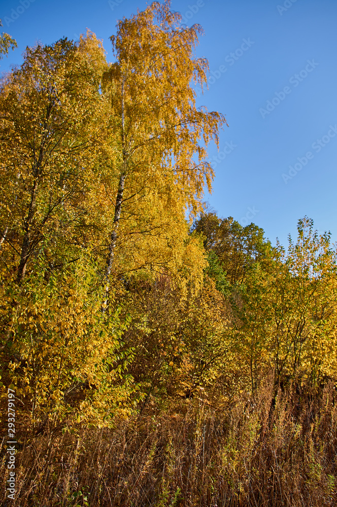 Autumn landscape in the southeast of the Moscow region Autumn landscape in the southeast of the Moscow region