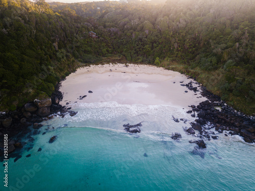 Stewart Island Bird Sanctuary New Zealand