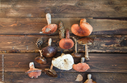 Forest mushrooms - lumps, euphorbia, boletus, cones lie in the center on old boards. Flat horizontal view.