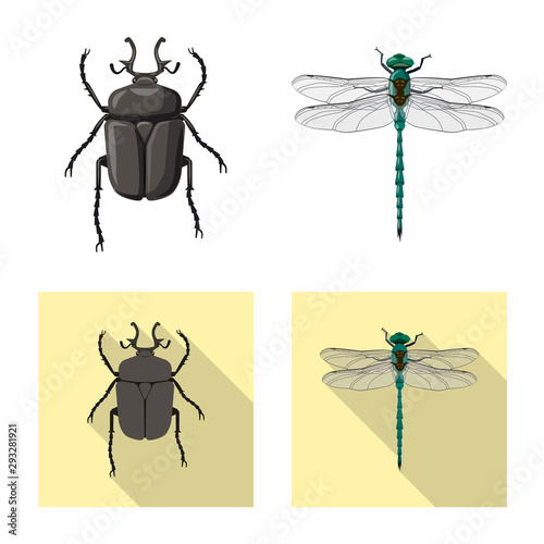 Isolated object of insect and fly icon. Set of insect and element stock symbol for web.