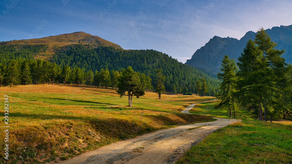 path through the meadow and mountains in the background in autumn