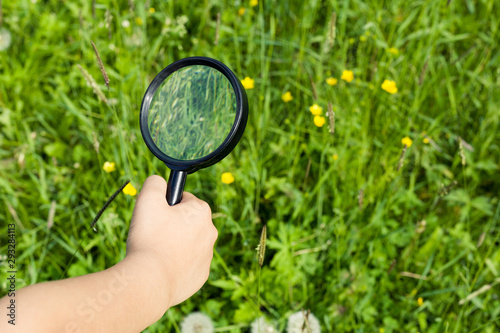  Child hand with magnifier on grass background. The concept of childhood, nature research, search and discovery, science and knowledge in biology and botany. Image.