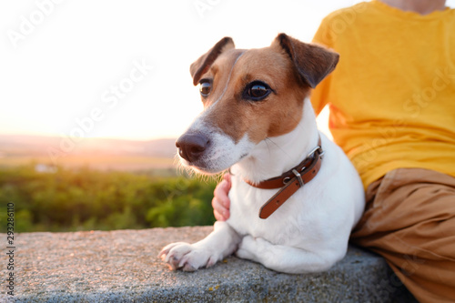 Fototapeta Naklejka Na Ścianę i Meble -  A boy in an orange t-shirt is sitting on an old cement fence with his dog of breed Jack Russell Terrier against the backdrop of the sunset of the orange sun and rays in a green field. Child with a dog