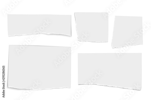 Set of white vector paper tears isolated on white background