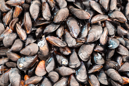 A large pile of fresh mussels in a crate at a fish market. Background of mussels from a mussel farm of the best quality in the market.