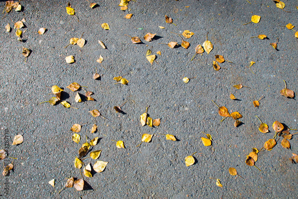 Yellow autumn leaves lie on the pavement. The natural background. The concept of the texture of autumn.