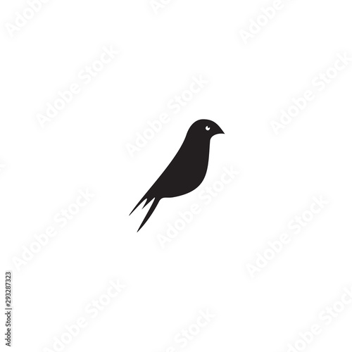 Bird logo design vector template © dimensi design