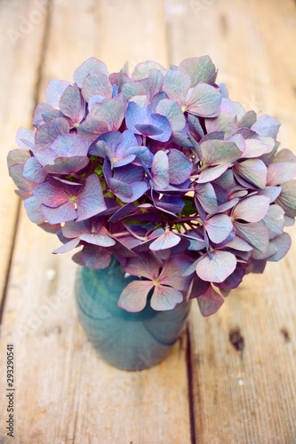 Grußkarte - Hortensien Blum...