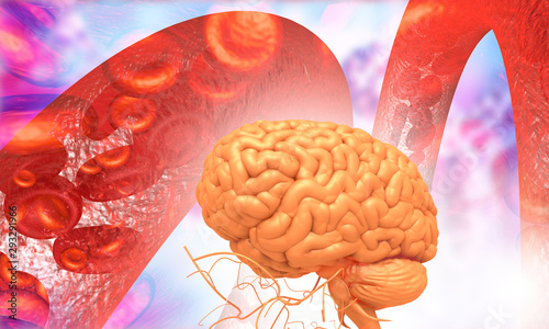 Human brain with blood stream. 3d illustration.