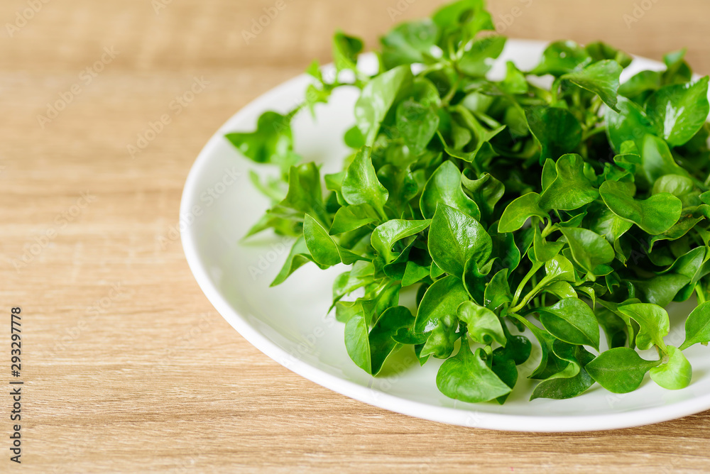 Fresh watercress on white dish, healthy vegetables Fresh watercress on white dish, healthy vegetables