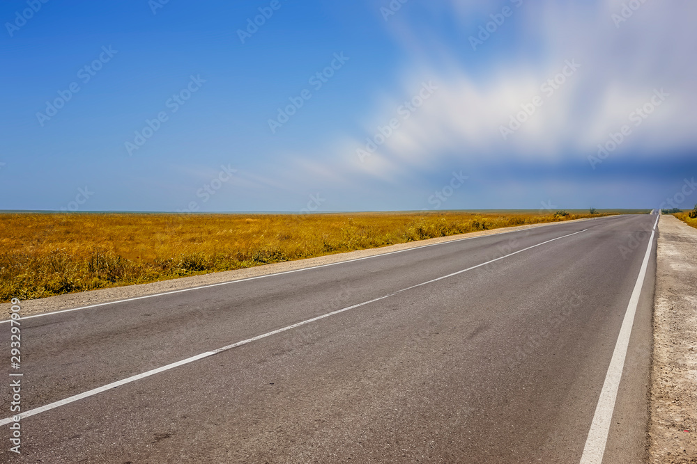 A long highway with no cars on the overgrown grass