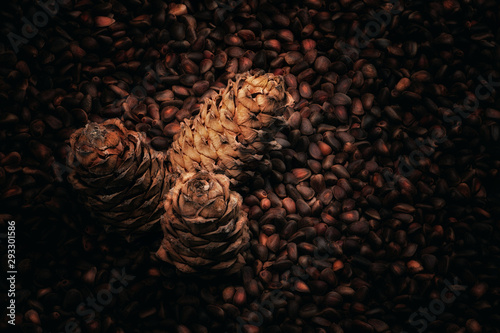 Three pine cones lying in the pine nuts