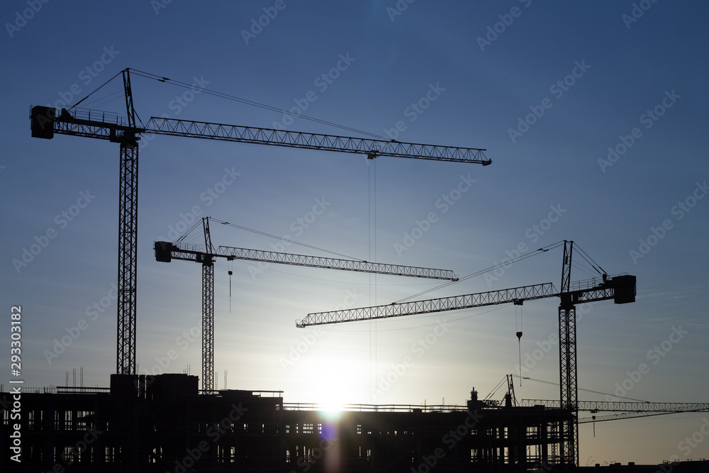 group of cranes on construction site at dawn group of cranes on construction site at dawn