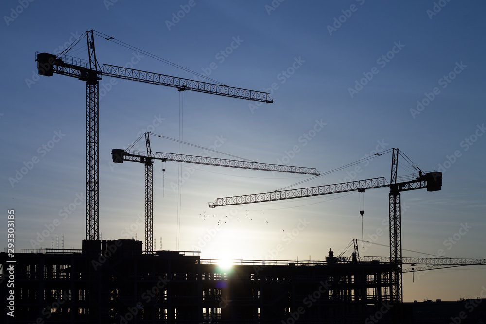 group of cranes on construction site at dawn