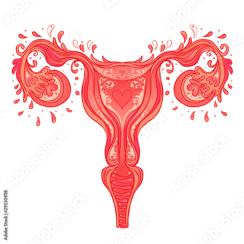Decorative drawing of female reproductive system with flowers. Hand drawn uterus, womb. Girl power, feminism. Vector illustration isolated on white.