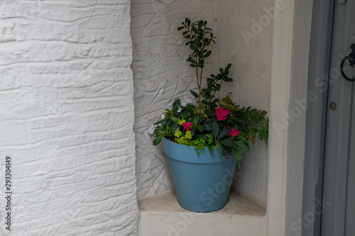 A blue plant pot with flowers inside a whitewashed porch © Alison