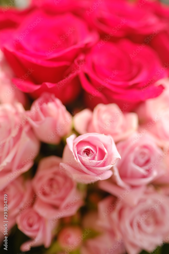 Macro view of colorful blue red green white pink purple rose flower bouquet in full blossom Macro view of colorful blue red green white pink purple rose flower bouquet in full blossom