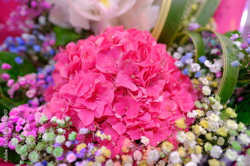 Flower bouquet with colorful Gypsophila and light pink purple Hydrangea macrophylla flower