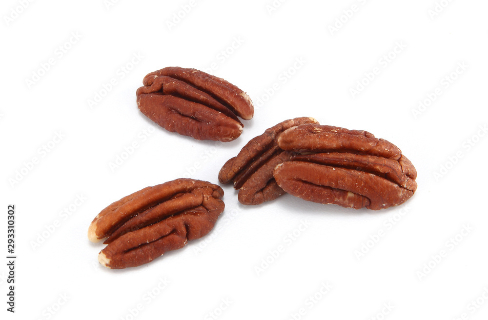 The pecan is a species of hickory native to northern Mexico and the southern United States in the region of the Mississippi River. The pecan is a species of hickory native to northern Mexico and the southern United States in the region of the Mississippi River.