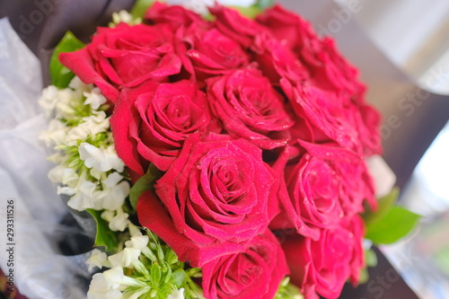 Macro view of colorful blue red green white pink orange purple rose flower bouquet in full blossom