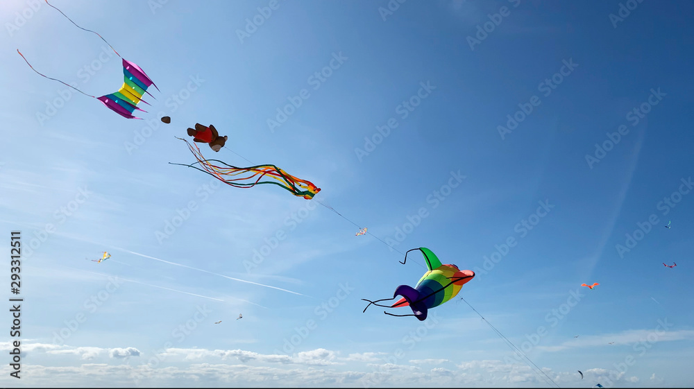 Kites on the background of a blue sky