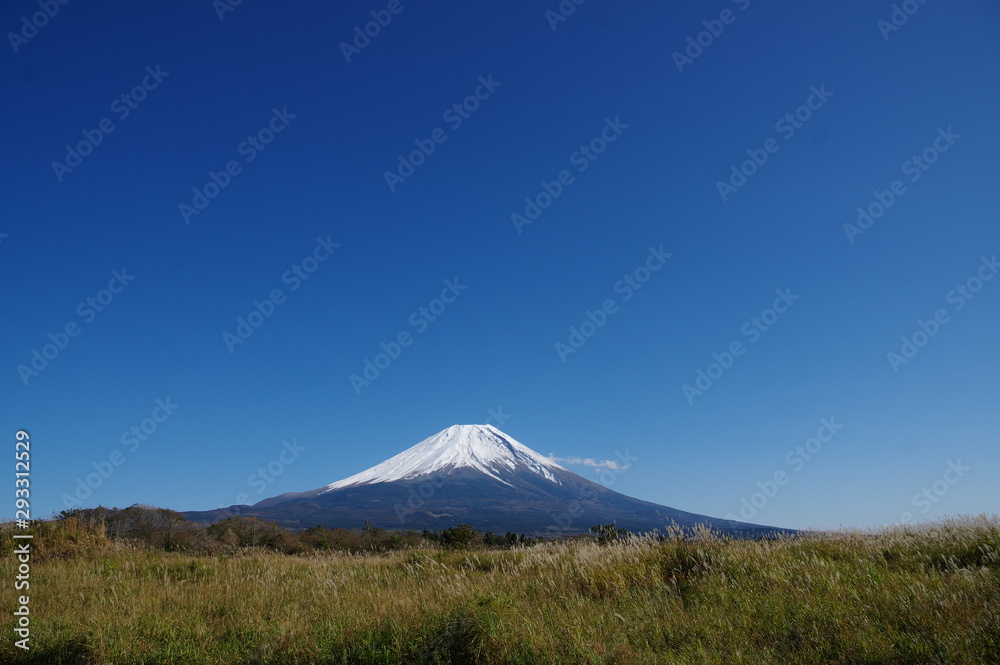 ススキと富士山