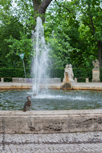 Rundbrunnen Delphinbrunnen in Volkspark Friedrichshain, wild duck near the fountain, Berlin