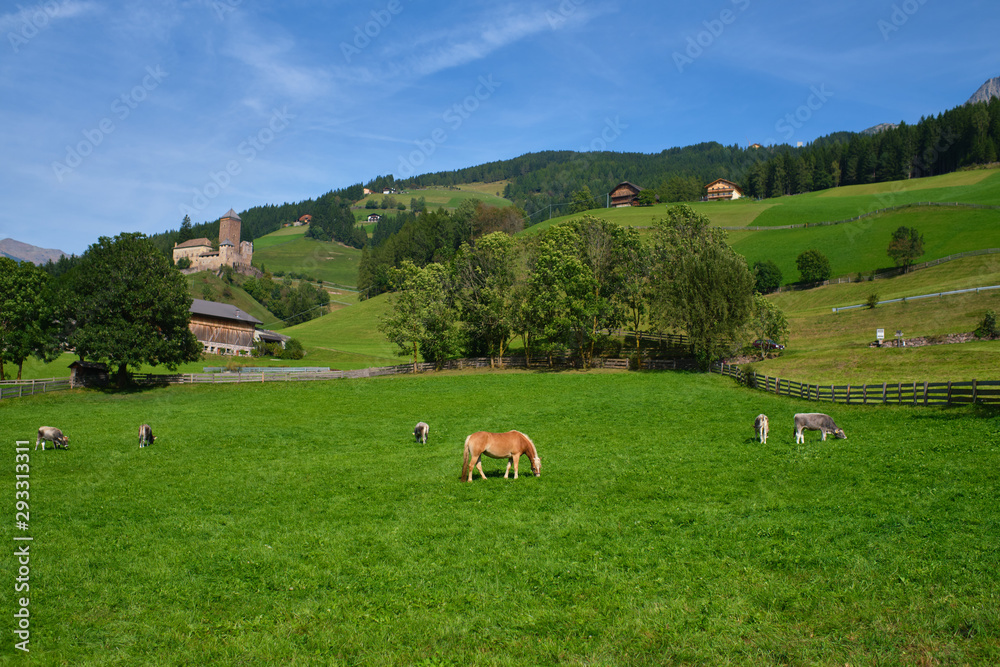 Red horse with cows on a green alpine lawn in the background a castle and green hills