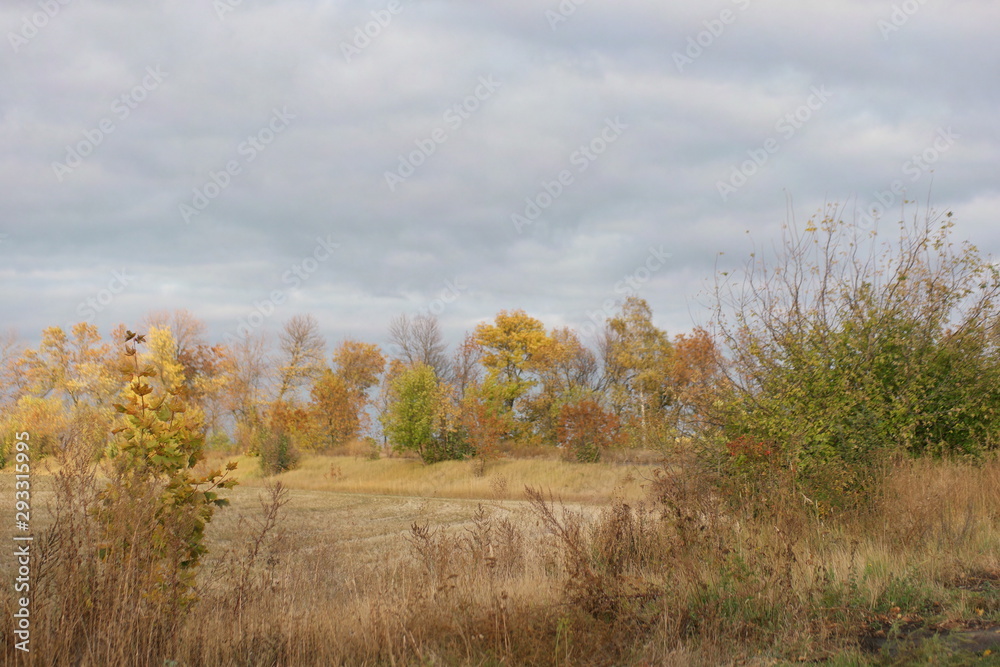 autumn landscape with trees and blue sky autumn landscape with trees and blue sky