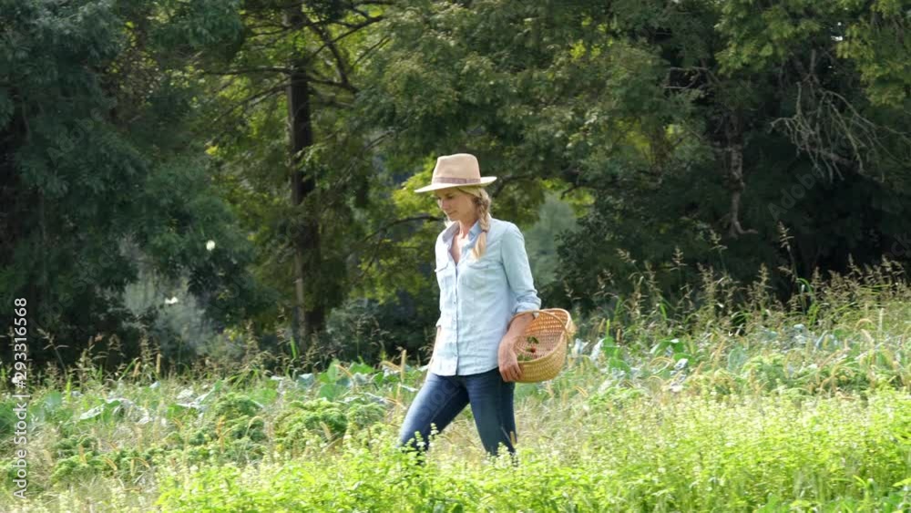 Farmer woman walking in agricultural field Farmer woman walking in agricultural field