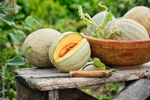 Raw organic melons photo