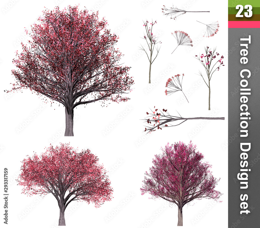 Fototapeta premium Tree correction design set. 3D Illustration. White background isolate. Nature and Gardens design.