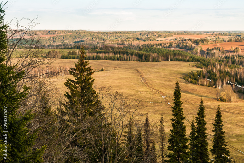 View from the top of the hill to fields, groves, winding road and tops of fir trees in early spring