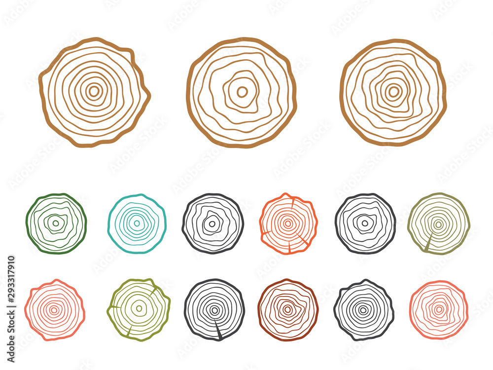 Cross section of the tree. Abstract age annual circle tree background Cross section of the tree. Abstract age annual circle tree background