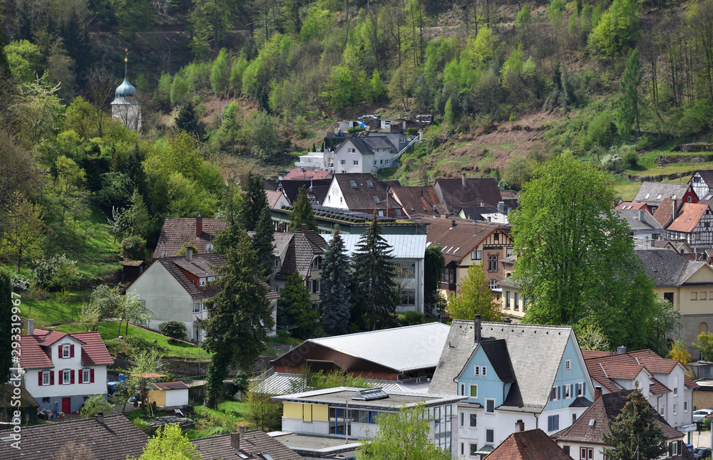 Cute village in Germany on a hillside, apartment buildings on the background of the forest. Spring in a German village