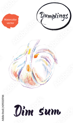 Chinese dumpling Dim Sum, watercolor vector illustration