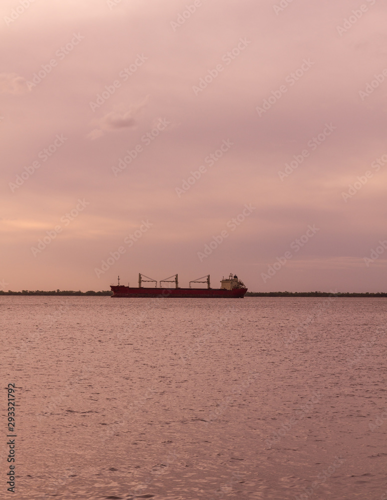 Merchant ships await near the industrial loading dock of Nueva Palmira, on the Uruguay River. New Palmira City, Uruguay