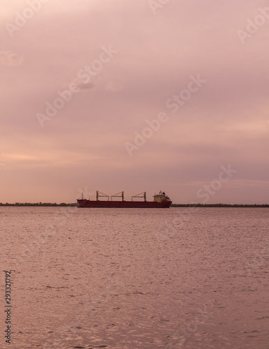 Merchant ships await near the industrial loading dock of Nueva Palmira  on the Uruguay River. New Palmira City  Uruguay