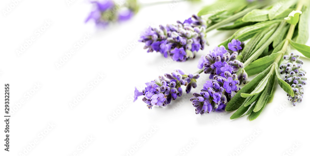 Beautiful Lavender flowers bunch on a white. Shallow DOF - obrazy, fototapety, plakaty 