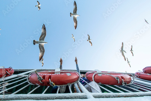 On the ferry to Kadikoy, children are feeding seagulls October1, 2019, ISTANBUL, TURKEY photo