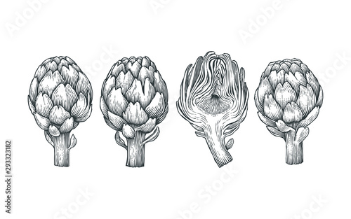 Artichokes. Hand drawn engraving style illustrations.