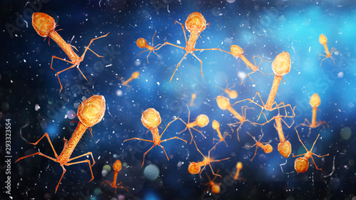 Fotografie Microbiology concept