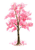 Pink Cherry Blossom tree watercolor painting hand drawn on isolated white background