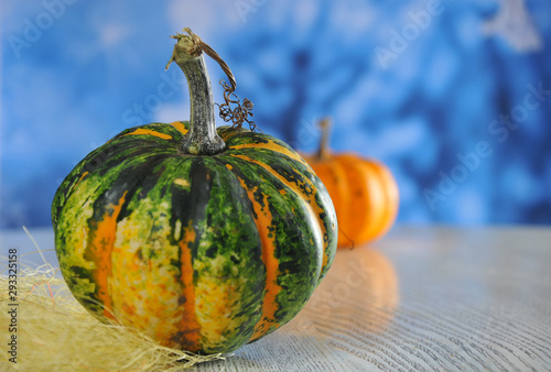 Halloween party. Holiday. Pumpkins for the holiday. Celebration. Bokke. Close-up photo