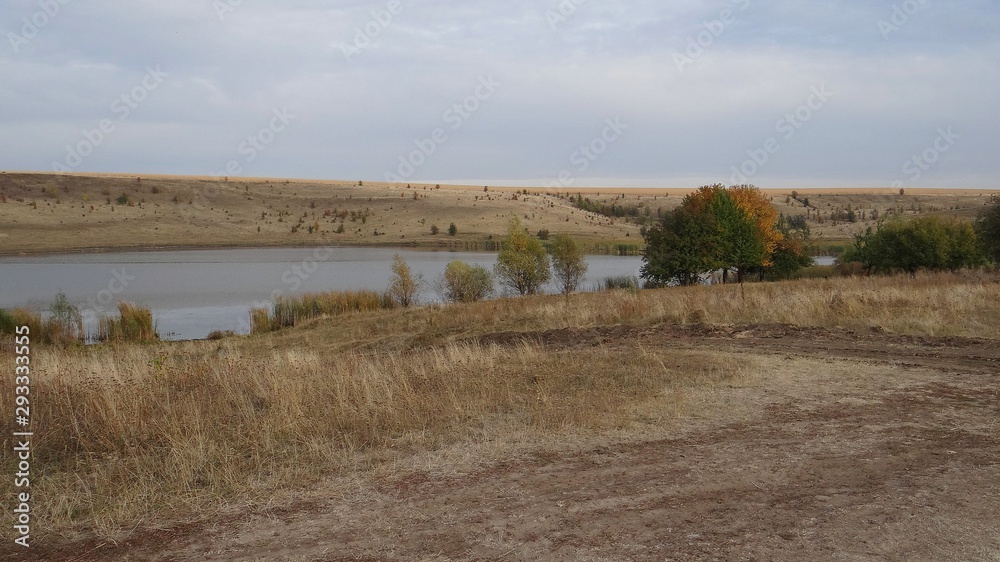 colored trees and dry grass on the lake against the sky
