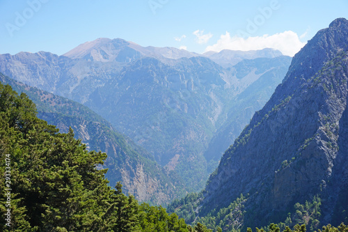 Panorama view of the mountains of the Samaria Gorge and pine in the foreground. Crete, Greece