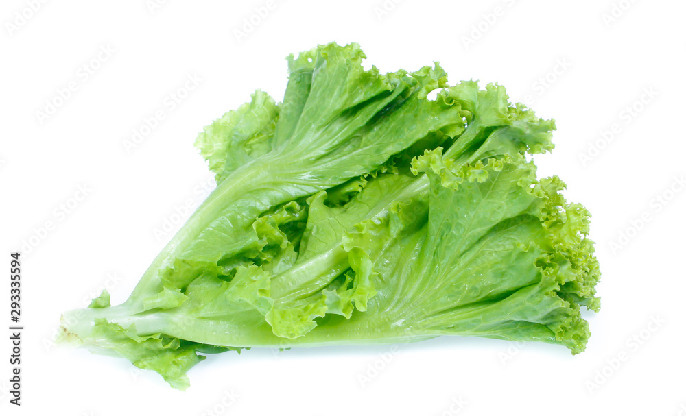 Lettuce isolated on white background Lettuce isolated on white background