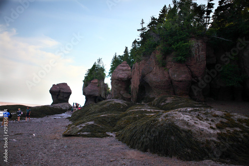 Low tide at the hopewell rocks