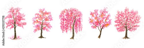 Pink Cherry Blossom tree set watercolor painting hand drawn on isolated white background